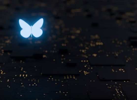 Flying butterfly