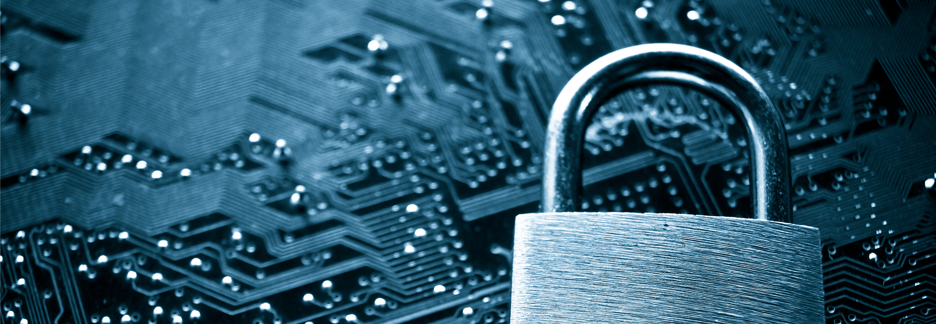 Cybersecrity hand lock