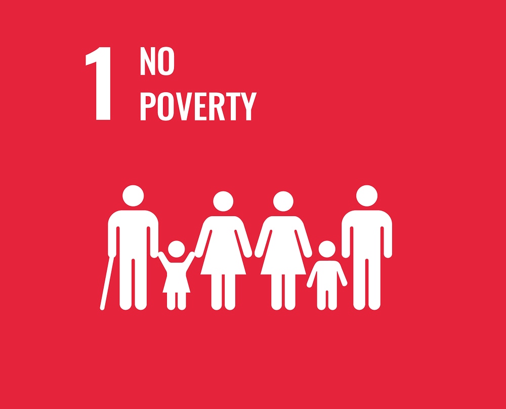 SDG goal 1