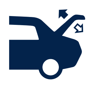 Trunk control system