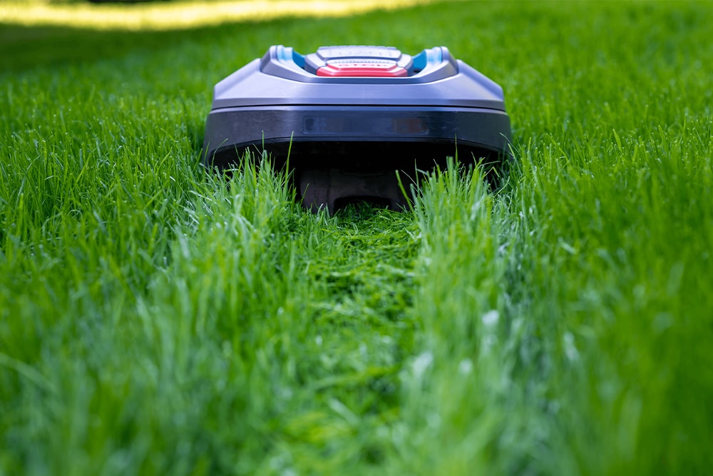 Image of a robotic lawn mower cutting grass, creating a neat path through a green lawn.