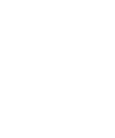 White lightning bolt symbol inside a circle. 