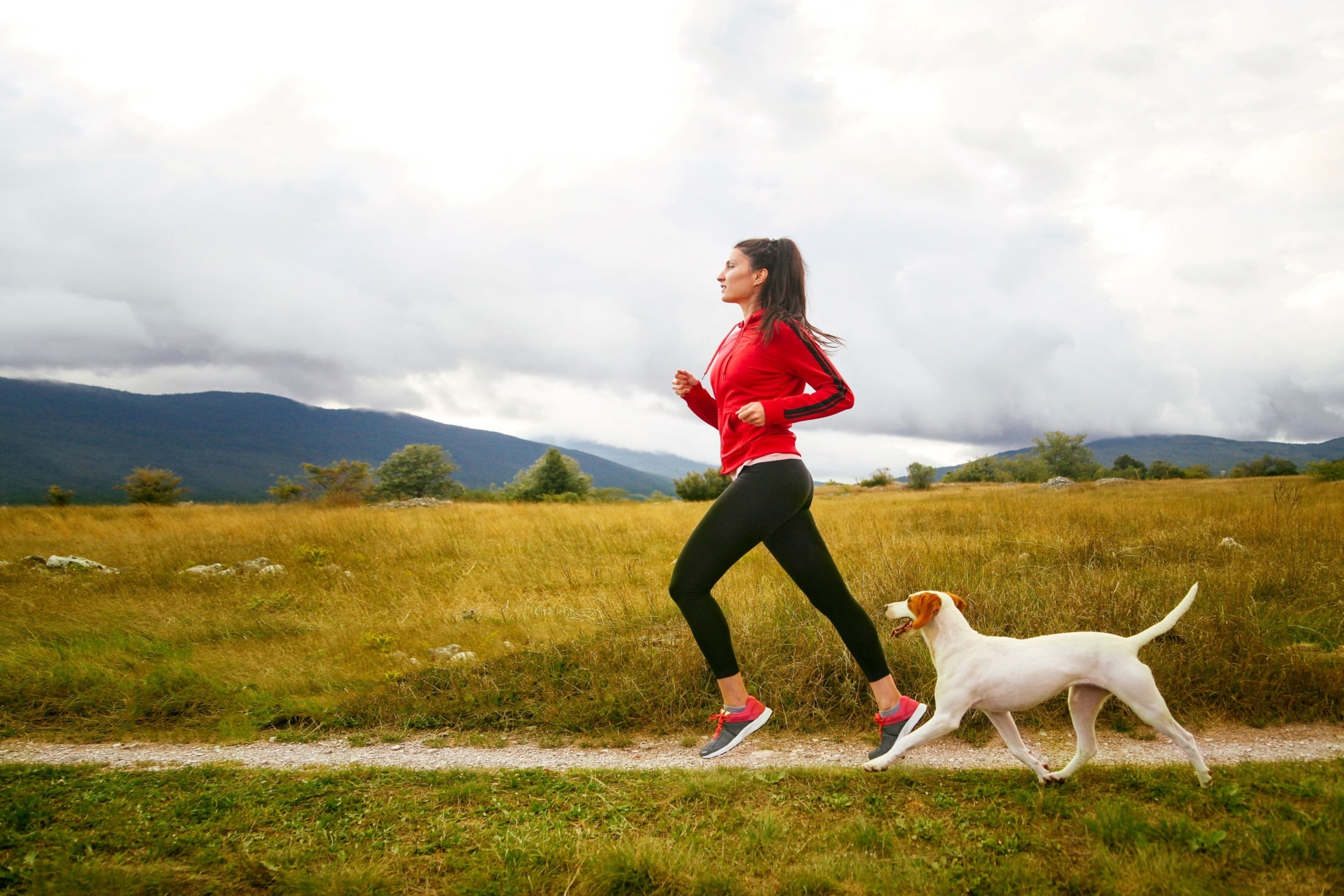 山と曇り空が広がる自然の風景の中、白い犬を連れて芝生の道をジョギングする女性。