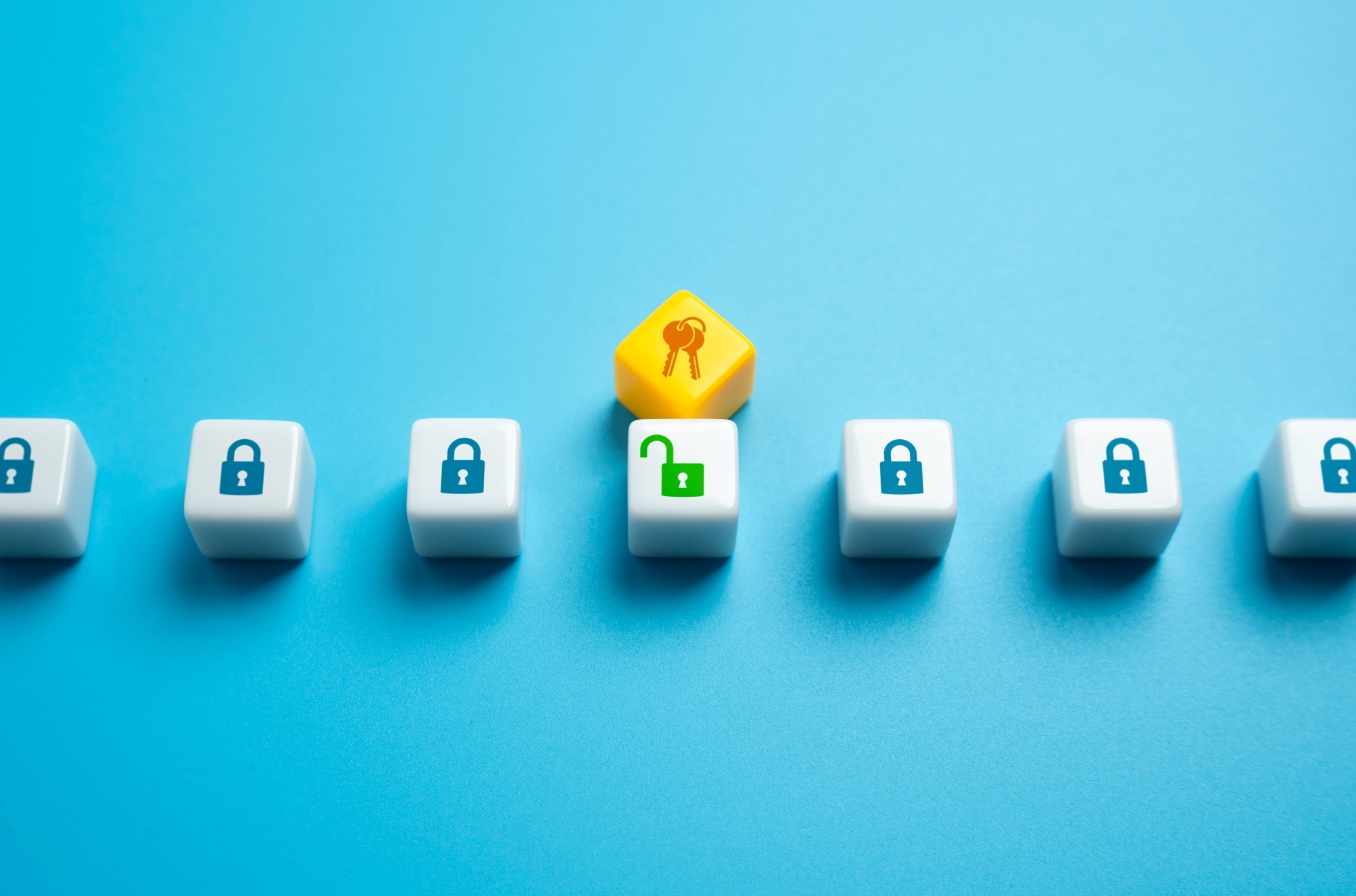 Plastic blocks with security locks on them