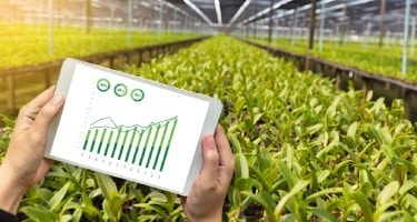 smart agriculture