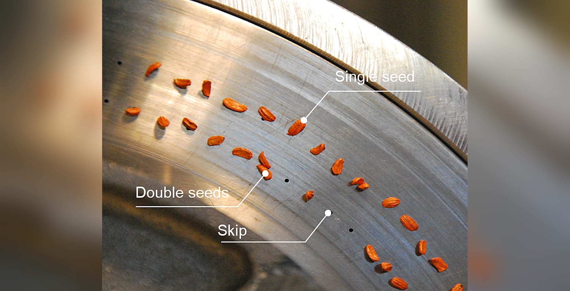 Single seeds, doubles and skips on a seeding disc