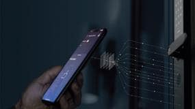 Aliro access package