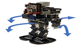 ISPU falling detection system